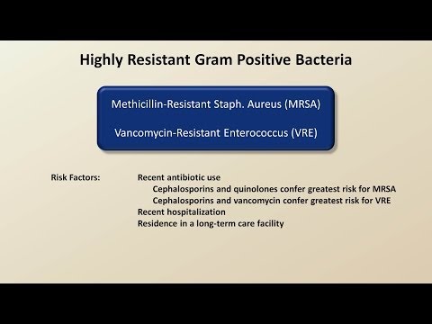 Video: Welk antibioticum is het beste voor gram-positieve kokken?