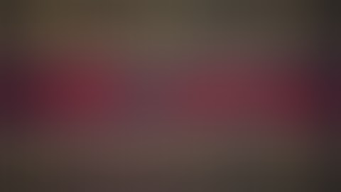 brainfuck interpreter live coding in C