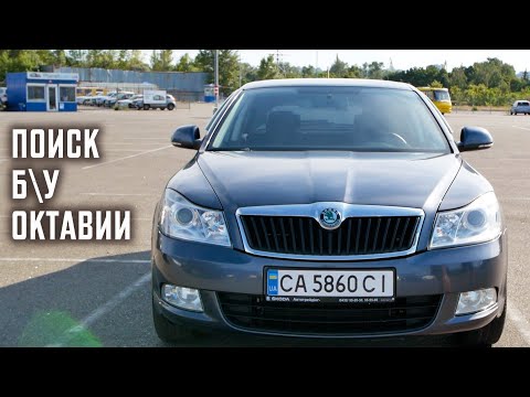 Тонкости поиска бу Октавии | Skoda Octavia A5 | Автоподбор Киев