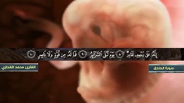 سورة الطارق | القارئ محمد حسين القحازي | تلاوة حجازية جميلة