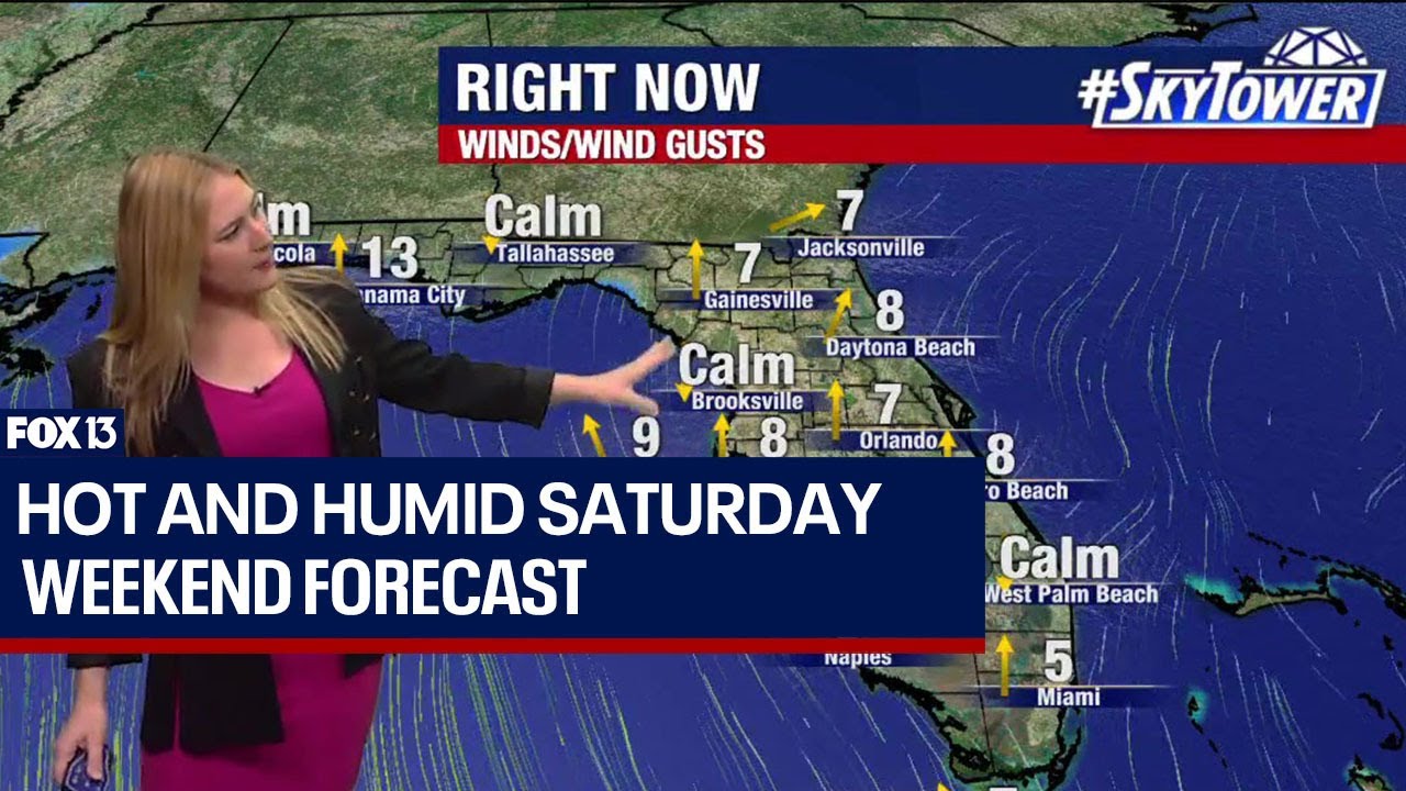 Tampa weather | Hot and humid Saturday with isolated showers - YouTube