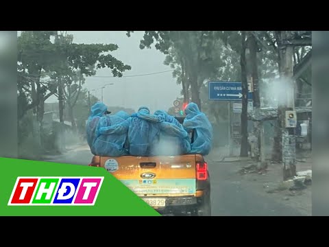 Video Ôm nhau cho ấm | THDT - youtube