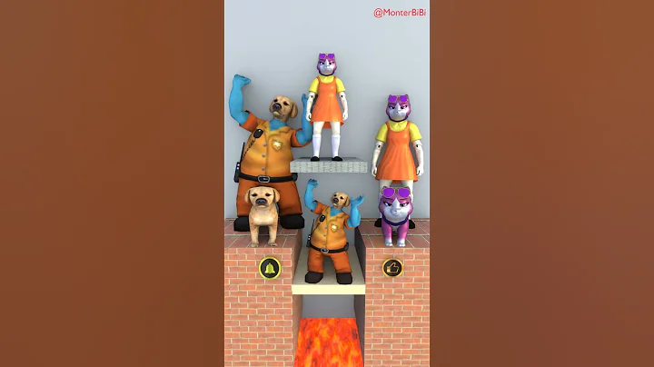 Video 9941861: cat dog beautiful, cat vs dog, funny cats dogs