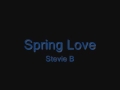 Spring love 12  stevie b