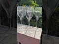 CHAMPAGNE CLUB - Taittinger pezsgőkóstoló pohár szett (10 db, 16 cl) eredeti 3L  | Galéria Savaria