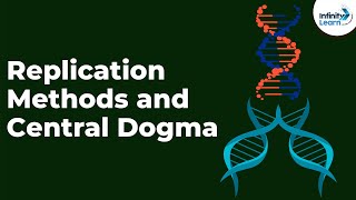 Genetics - Replication Methods and Central Dogma - Lesson 16 | Don't Memorise Genetics - Replication Methods and Central Dogma - Lesson 16 | Don't Memorise