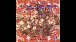 The Morphogenetic - Reports From The Morphogenetic Research Lab [Full Album]