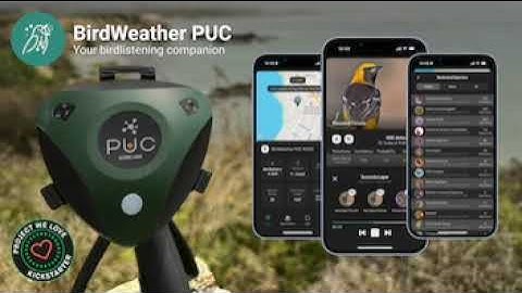 BirdWeather PUC - your birdlistening companion