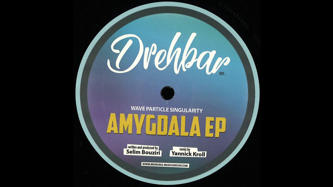 Wave Particle Singularity - C8H11NO2 (Jeann Remix) [DBR001]