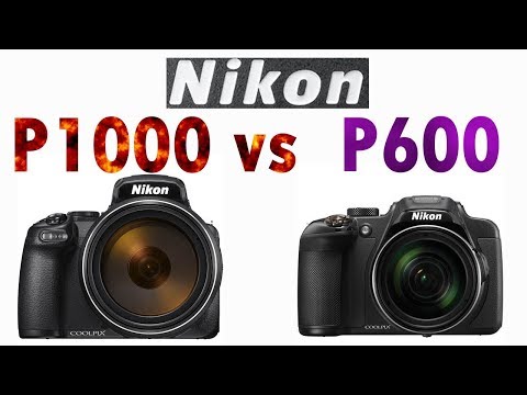 Nikon P1000 vs Nikon P600