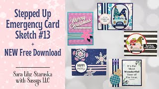 FREE PRINTABLE Stepped Up Emergency Card Kit 12