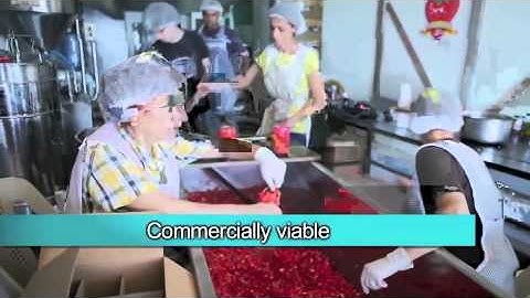 Nestlé Prize in Creating Shared Value