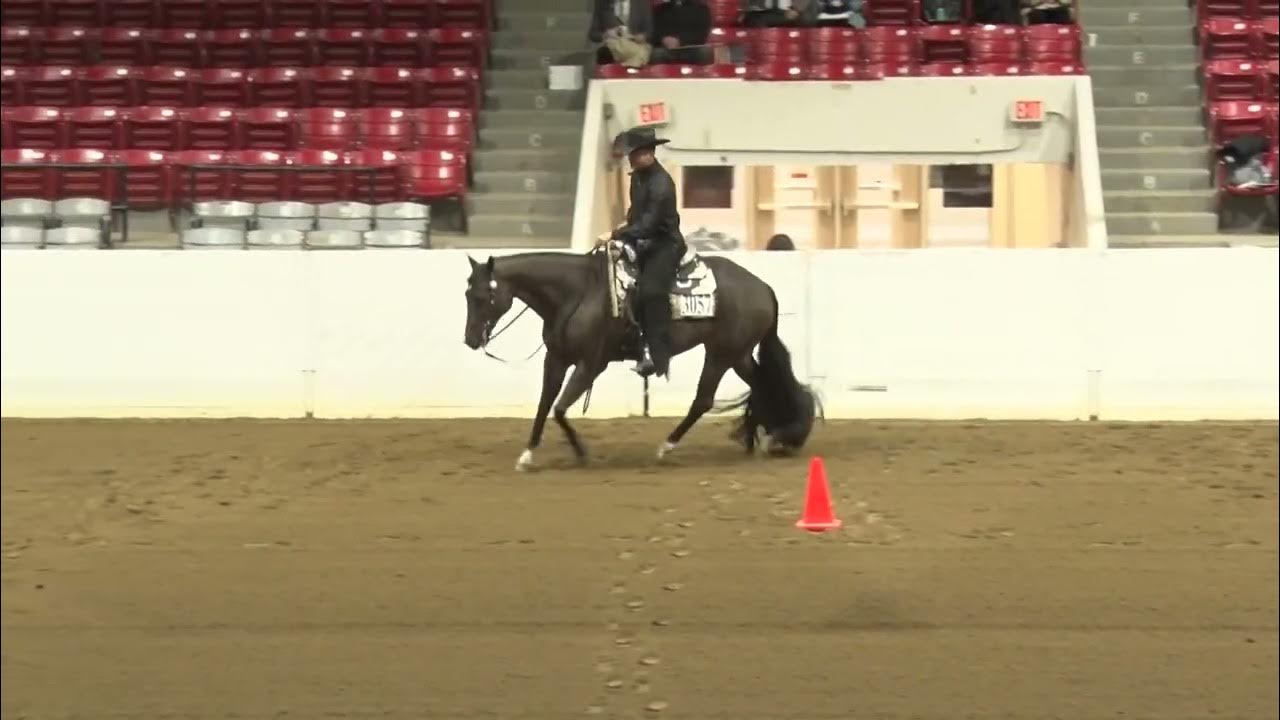 2022 Quarter Horse Congress Senior Western Riding Reid Thomas on Dare