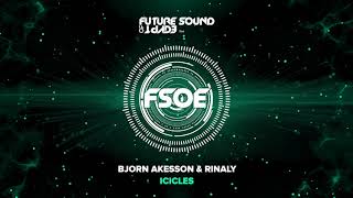 Bjorn Akesson & Rinaly - Icicles
