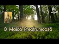 ✝️🔴O MAICA PREAFRUMOASA-Marian si Maria Moise🔴