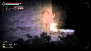 Salt And Sanctuary Shroud Charm Location Arcane