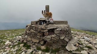 Pico San Millán