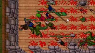 Test Server 2009- Dragon die (Rookgaard)