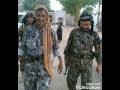 قصيده كلمات الشاعر ابونهدالكازمي مهداه للاخ عبدلله الحنشي ابوخالد قايد فرع القوات الخاصة ابين قصيده كلمات الشاعر ابونهدالكازمي مهداه للاخ عبدلله الحنشي ابوخالد قايد فرع القوات الخاصة ابين