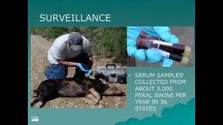 Dr. Thomas Gidlewski - Update on Feral Swine Diseases and Surveillance