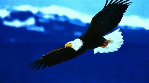 National Anthem, Sung by Theodore McClendon