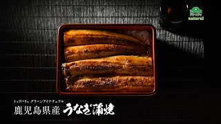 【トップバリュ】味への情熱が生んだ、極上の逸品　鹿児島県産うなぎ蒲焼