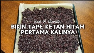 Download Lagu Pertama kali bikin tape ketan hitam sendiri apakah berhasil atau tidak ? Kehidupan di desa Slovenia MP3