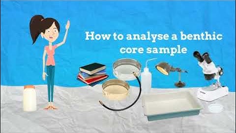 How to analyse a benthic core sample