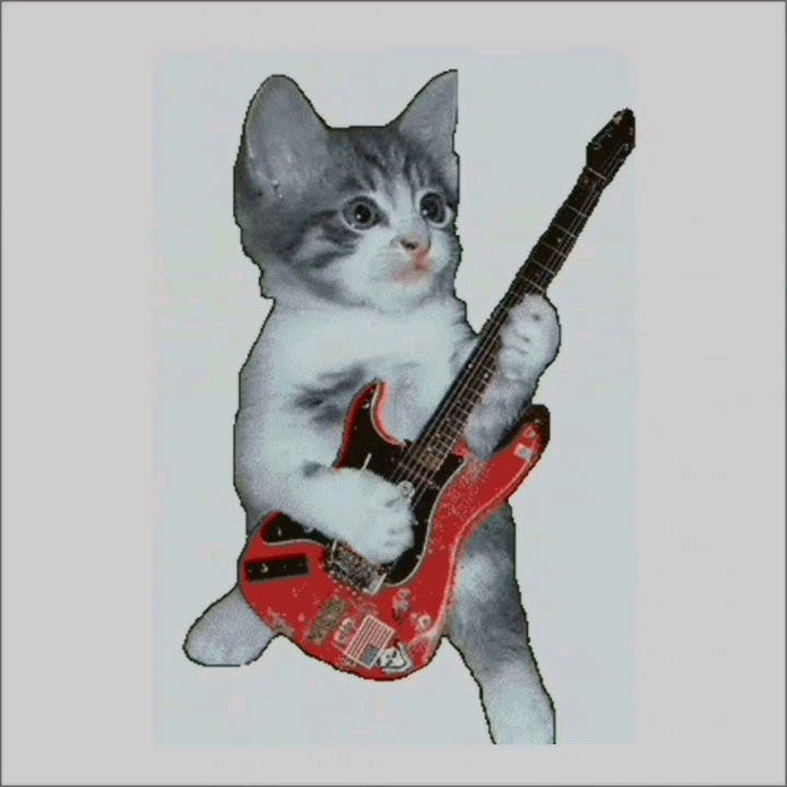 hey hey hey lover❤