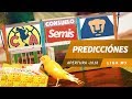 Pronóstico Semifinal Liga MX Apertura 2018 | Predicciones Liga MX | Quiniela Futbol 2018
