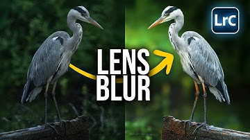 Make Your Subject POP with Lightrooms LENS BLUR Tool!