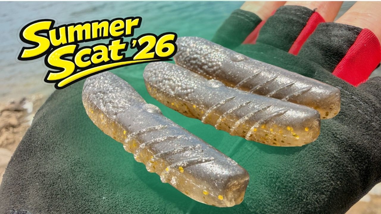 The Cover Scat Hype Is Over… The Bass Don't Care.