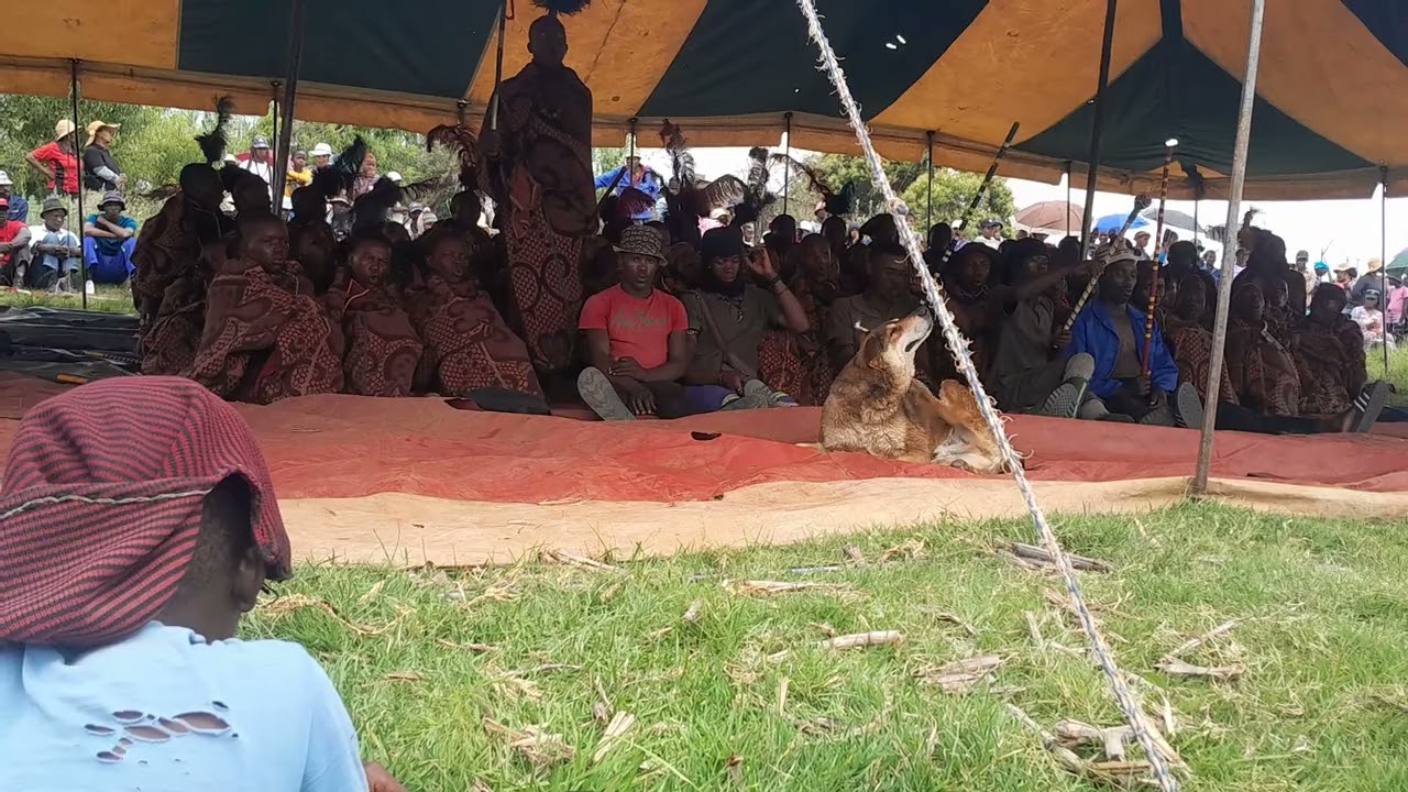 Makoloane a peka ka ntate sefefo 