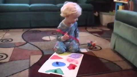 puffball sorting with large tweezers, toddle