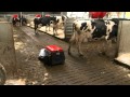 Lely Discovery Mobile Barn Cleaner - How it Works