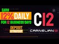 Carnelian 12 | Deposit Strategy To Continuously Earn 12% DAILY 💵