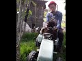 " On My Farm Tractor " b3 #harmonica #cat #springvibes #farmtractor #humor #funny #harmonicaplayer