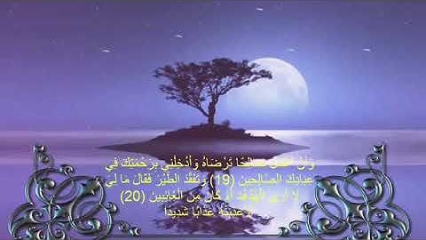 قرآن كريم تلاوة خاشعة من سورة النمل الآية 19 - 20 ممدوح عامر