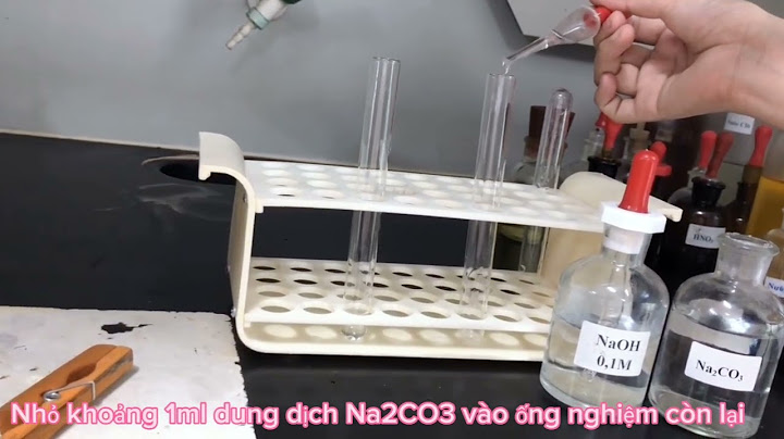 Báo cáo hóa hữu cơ phenol với naoh và na2co3 năm 2024
