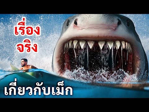 วีดีโอ: 15 สถานที่ว่ายน้ำกับฉลามที่ดีที่สุดในโลก