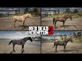 Dutch Warmblood Horses in RDR2 & How to Get Them