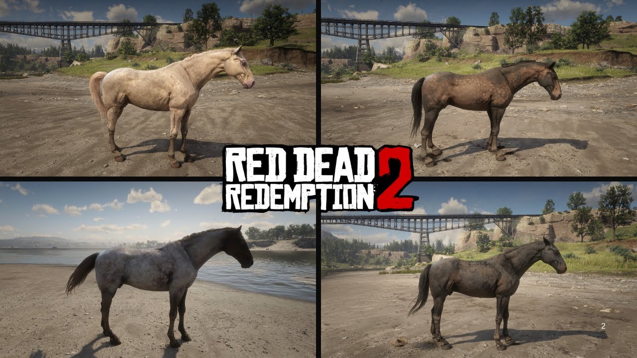 Dutch Warmblood Horses in RDR2 & How to Get Them - YouTube