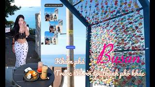 Busan Vlog | Dẫn bạn bè đi thăm quan Busan trước khi chuyển đến thành phố khác