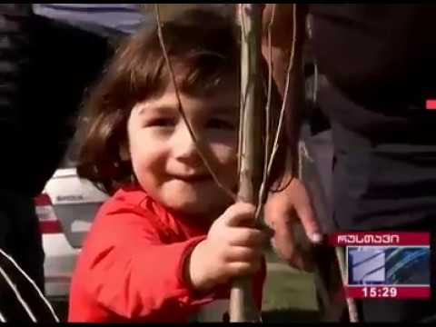 ქალაქ რუსთავში ქარსაფარი ზოლი გაშენდა