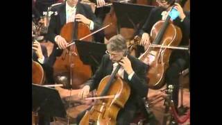 Mahler - Symphony No 9 - Haitink