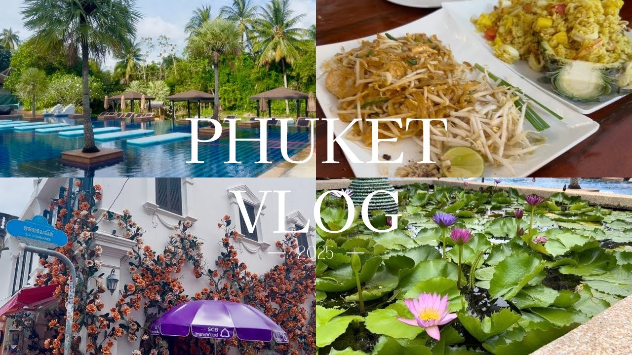 【Vlog】2025年8月 親子3世代プーケット🇹🇭 ウキウキ💓雨季🌧️ ホテルで満喫🏊‍♂️🐢