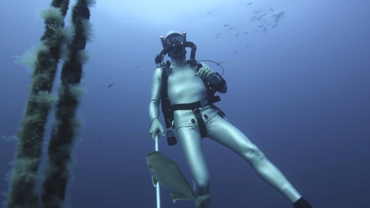 Régalec, le poisson roi des profondeurs - Documentaire animalier 4K Maxresdefault