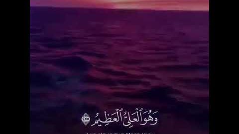 حالات قرآن كريم اسلام صبحي | اجمل حالات واتس اب دينيه | اية الكرسي تلاوة خاشعة جدا ❤️