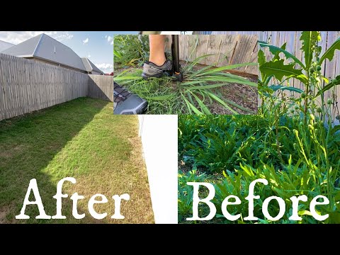 How to Remove Weeds Fast !!!
