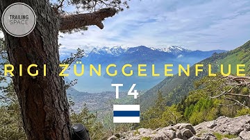 Rigi Zünggelenflue (Ränggen to Seewen direction)